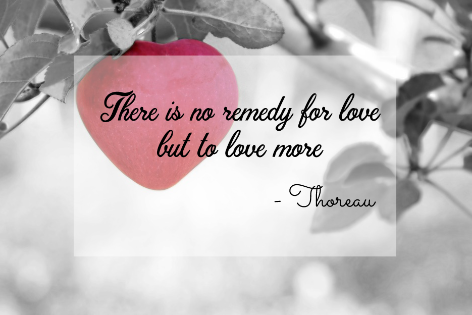 There is no remedy for love, but to love more