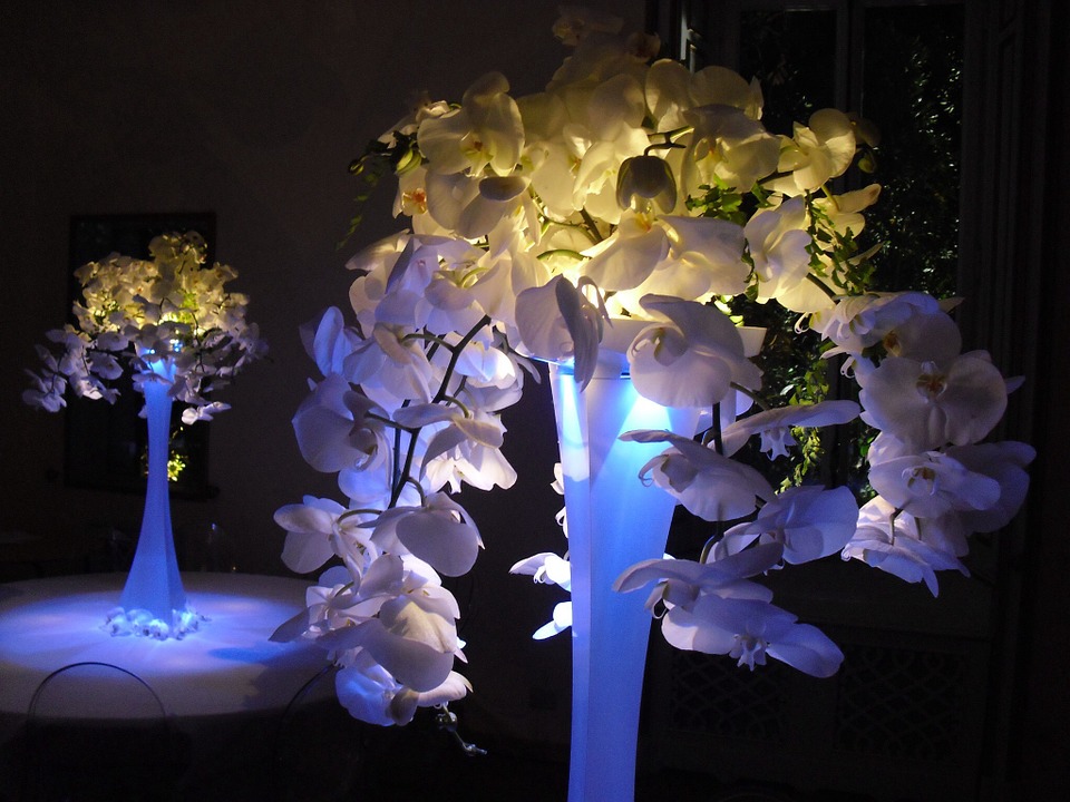 Orchids in blue vases with LED lights