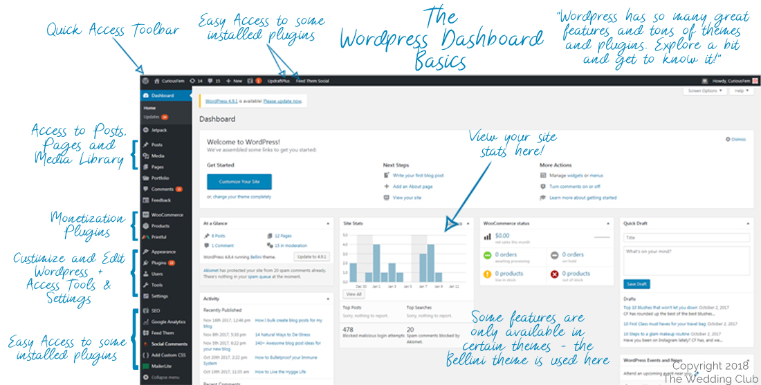 WordPress dashboard basics