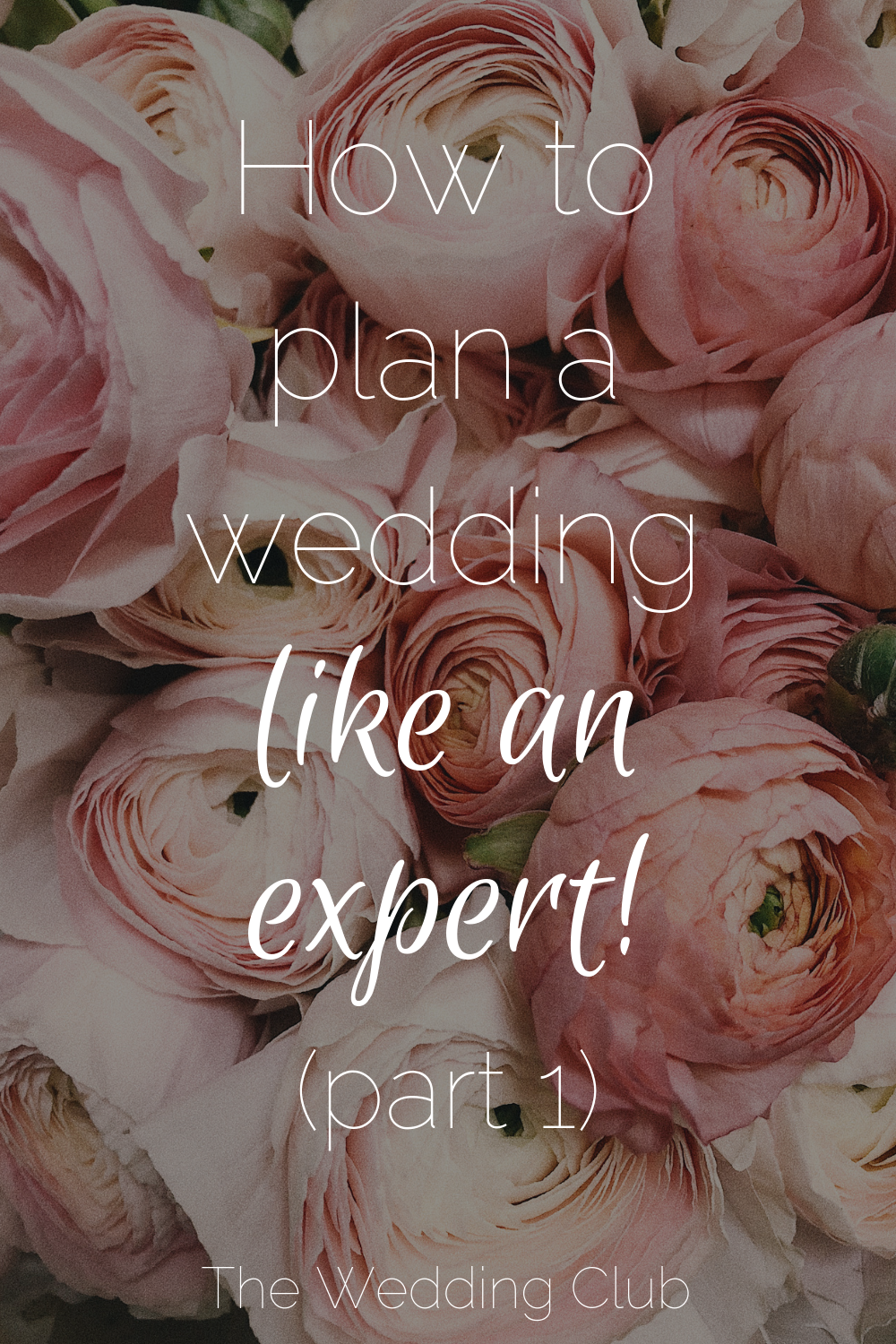 How to Plan a Wedding like an Expert - PART ONE