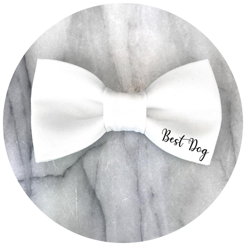 Wedding dog bow tie by TheWagLifeCo | 23+ Ways to include your dog in your wedding - These dog wedding ideas are perfect for the couple who wants to include their favorite pup on their big day!