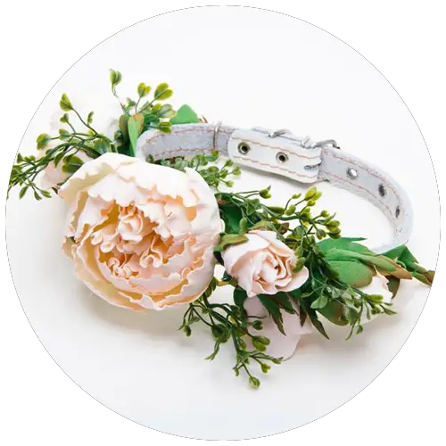 Peony Floral Collar by MarsDogShop | 23+ Ways to include your dog in your wedding - These dog wedding ideas are perfect for the couple who wants to include their favorite pup on their big day!