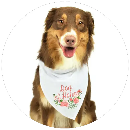 Dog of Honor Bandana by MoonwakeDesignsCo | 23+ Ways to include your dog in your wedding - These dog wedding ideas are perfect for the couple who wants to include their favorite pup on their big day!