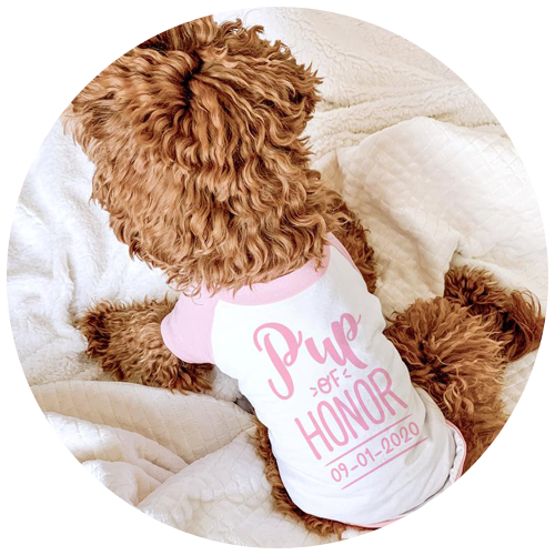 Pup of Honor Vest by BarkleyandWagz | 23+ Ways to include your dog in your wedding - These dog wedding ideas are perfect for the couple who wants to include their favorite pup on their big day!