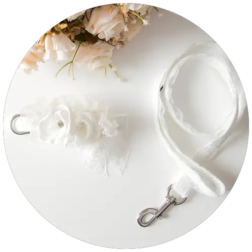 White dog wedding leash and collar by BowPawTie | 23+ Ways to include your dog in your wedding - These dog wedding ideas are perfect for the couple who wants to include their favorite pup on their big day!