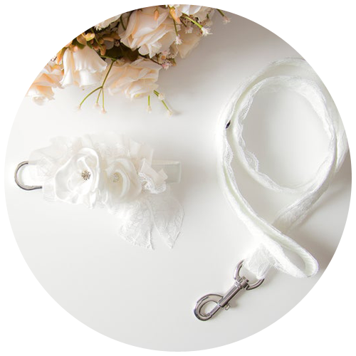 White dog wedding leash and collar by BowPawTie | 23+ Ways to include your dog in your wedding - These dog wedding ideas are perfect for the couple who wants to include their favorite pup on their big day!