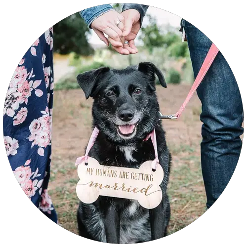Pet Sign for Save the Date Photography by ZCreateDesign | 23+ Ways to include your dog in your wedding - These dog wedding ideas are perfect for the couple who wants to include their favorite pup on their big day!