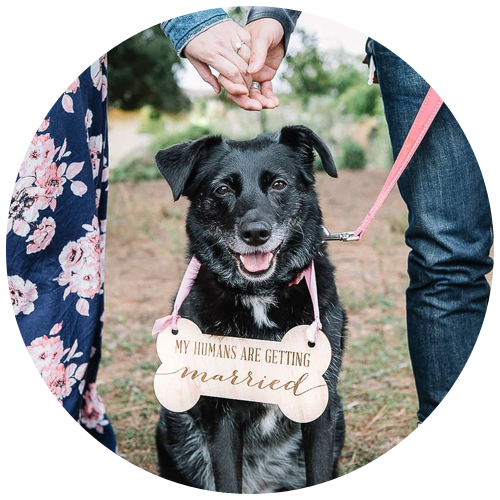 Pet Sign for Save the Date Photography by ZCreateDesign | 23+ Ways to include your dog in your wedding - These dog wedding ideas are perfect for the couple who wants to include their favorite pup on their big day!