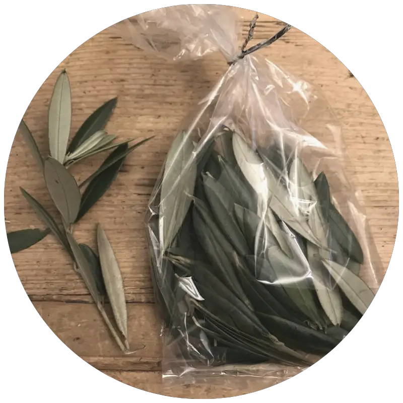 dried olive leaves confetti