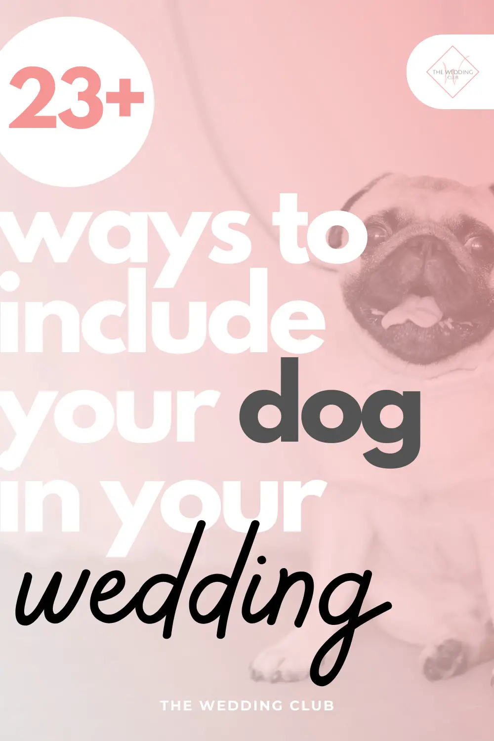 23+ Cute dog theme wedding ideas for pet lovers