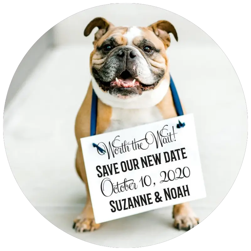Rescheduled Wedding Announcement Sign by TheRitzyRose | 23+ Ways to include your dog in your wedding - These dog wedding ideas are perfect for the couple who wants to include their favorite pup on their big day!