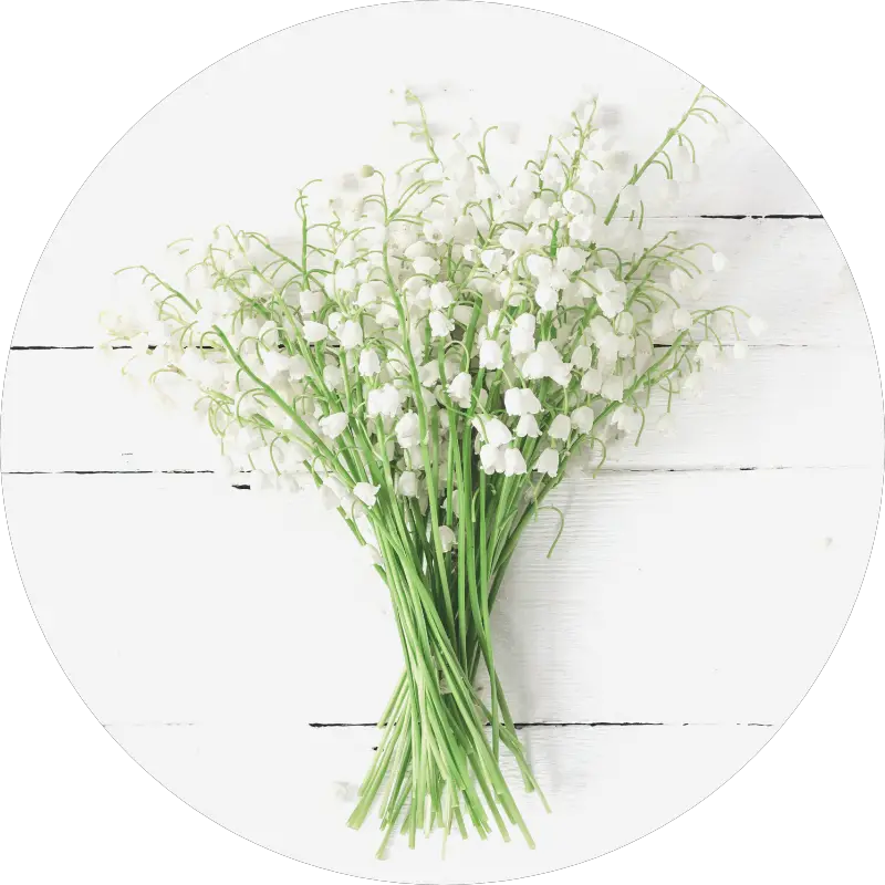 lily of the valley - all you need to know about wedding flowers and their seasons