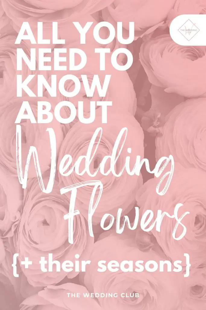 All you need to know about wedding flowers and their seasons - The Wedding Club