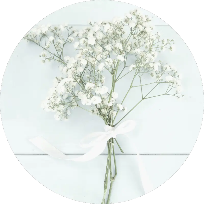 baby's breath - all you need to know about wedding flowers and their seasons