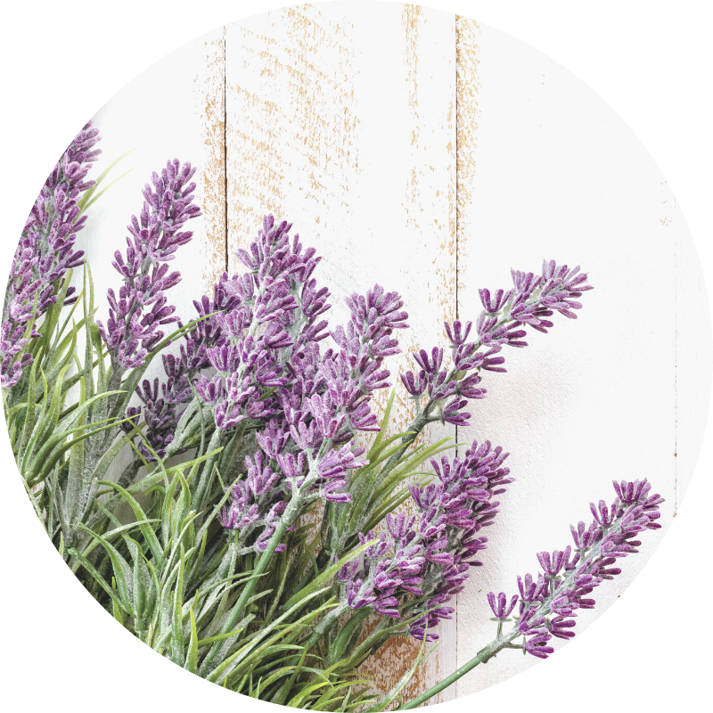 lavender - all you need to know about wedding flowers and their seasons