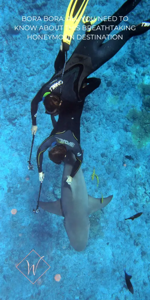 6. Bora Bora_ All You Need To Know - shark and ray snorkeling - The Wedding Club